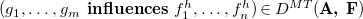 left parenthesis g 1 comma ellipsis comma g Subscript m Baseline bold i bold n bold f bold l bold u bold e bold n bold c bold e bold s f 1 Superscript h Baseline comma ellipsis comma f Subscript n Superscript h Baseline right parenthesis element of upper D Superscript upper M upper T Baseline left parenthesis bold upper A comma upper F right parenthesis