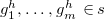 g 1 Superscript h Baseline comma ellipsis comma g Subscript m Superscript h Baseline element of s
