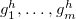 g 1 Superscript h Baseline comma ellipsis comma g Subscript m Superscript h