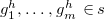 g 1 Superscript h Baseline comma ellipsis comma g Subscript m Superscript h Baseline element of s