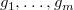 g 1 comma ellipsis comma g Subscript m Baseline