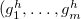 left parenthesis g 1 Superscript h Baseline comma ellipsis comma g Subscript m Superscript h
