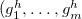 left parenthesis g 1 Superscript h Baseline comma ellipsis comma g Subscript m Superscript h