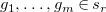 g 1 comma ellipsis comma g Subscript m Baseline element of s Subscript r Baseline