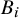 upper B Subscript i