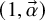 left parenthesis 1 comma ModifyingAbove alpha With right arrow right parenthesis