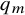 q Subscript m