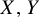 upper X comma upper Y