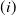 left parenthesis i right parenthesis