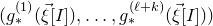 left parenthesis g Subscript asterisk Superscript left parenthesis 1 right parenthesis Baseline left parenthesis ModifyingAbove xi With right arrow left bracket upper I right bracket right parenthesis comma ellipsis comma g Subscript asterisk Superscript left parenthesis script l plus k right parenthesis Baseline left parenthesis ModifyingAbove xi With right arrow left bracket upper I right bracket right parenthesis right parenthesis