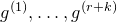 g Superscript left parenthesis 1 right parenthesis Baseline comma ellipsis comma g Superscript left parenthesis r plus k right parenthesis
