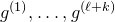 g Superscript left parenthesis 1 right parenthesis Baseline comma ellipsis comma g Superscript left parenthesis script l plus k right parenthesis