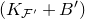 left parenthesis upper K Subscript script upper F Sub Superscript prime Subscript Baseline plus upper B Superscript prime Baseline right parenthesis