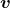bold italic v