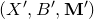 left parenthesis upper X prime comma upper B prime comma bold upper M Superscript prime Baseline right parenthesis