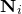 bold upper N Subscript i