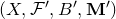 left parenthesis upper X comma script upper F prime comma upper B prime comma bold upper M Superscript prime Baseline right parenthesis