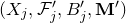 left parenthesis upper X Subscript j Baseline comma script upper F prime Subscript j Baseline comma upper B prime Subscript j Baseline comma bold upper M Superscript prime Baseline right parenthesis