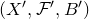 left parenthesis upper X prime comma script upper F prime comma upper B Superscript prime Baseline right parenthesis