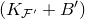 left parenthesis upper K Subscript script upper F Sub Superscript prime Subscript Baseline plus upper B Superscript prime Baseline right parenthesis