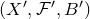 left parenthesis upper X prime comma script upper F prime comma upper B Superscript prime Baseline right parenthesis
