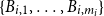 StartSet upper B Subscript i comma 1 Baseline comma ellipsis comma upper B Subscript i comma m Sub Subscript i Subscript Baseline EndSet