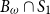 upper B Subscript omega Baseline intersection upper S 1