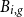 upper B Subscript i comma g