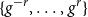 StartSet g Superscript negative r Baseline comma ellipsis comma g Superscript r Baseline EndSet