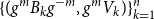 left brace left parenthesis g Superscript m Baseline upper B Subscript k Baseline g Superscript negative m Baseline comma g Superscript m Baseline upper V Subscript k Baseline right parenthesis right brace Subscript k equals 1 Superscript n