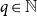 q element of double struck upper N
