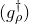 left parenthesis g Subscript rho Superscript dagger Baseline right parenthesis