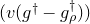 left parenthesis v left parenthesis g Superscript dagger Baseline minus g Subscript rho Superscript dagger Baseline right parenthesis right parenthesis