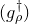 left parenthesis g Subscript rho Superscript dagger Baseline right parenthesis