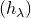 left parenthesis h Subscript lamda Baseline right parenthesis