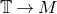 double struck upper T right arrow upper M