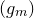 left parenthesis g Subscript m Baseline right parenthesis