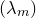 left parenthesis lamda Subscript m Baseline right parenthesis