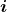 bold italic i
