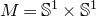 upper M equals double struck upper S Superscript 1 Baseline times double struck upper S Superscript 1