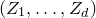 left parenthesis upper Z 1 comma ellipsis comma upper Z Subscript d Baseline right parenthesis