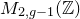 upper M Subscript 2 comma g minus 1 Baseline left parenthesis double struck upper Z right parenthesis