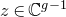 z element of double struck upper C Superscript g minus 1