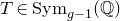 upper T element of normal upper S normal y normal m Subscript g minus 1 Baseline left parenthesis double struck upper Q right parenthesis