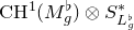 normal upper C normal upper H Superscript 1 Baseline left parenthesis upper M Subscript g Superscript normal ♭ Baseline right parenthesis circled times upper S Subscript upper L Sub Subscript g Sub Superscript normal ♭ Superscript asterisk
