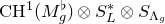 normal upper C normal upper H Superscript 1 Baseline left parenthesis upper M Subscript g Superscript normal ♭ Baseline right parenthesis circled times upper S Subscript upper L Superscript asterisk Baseline circled times upper S Subscript normal upper Lamda Sub Subscript g
