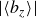StartAbsoluteValue left angle bracket b Subscript z Baseline right angle bracket EndAbsoluteValue