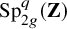upper S p Subscript 2 g Superscript q Baseline left parenthesis bold upper Z right parenthesis