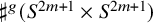 normal sharp Superscript g Baseline left parenthesis upper S Superscript 2 m plus 1 Baseline times upper S Superscript 2 m plus 1 Baseline right parenthesis