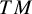 upper T upper M